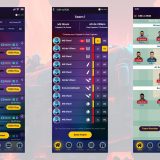 Fantasy Cricket app development, Fantasy cricket Developer